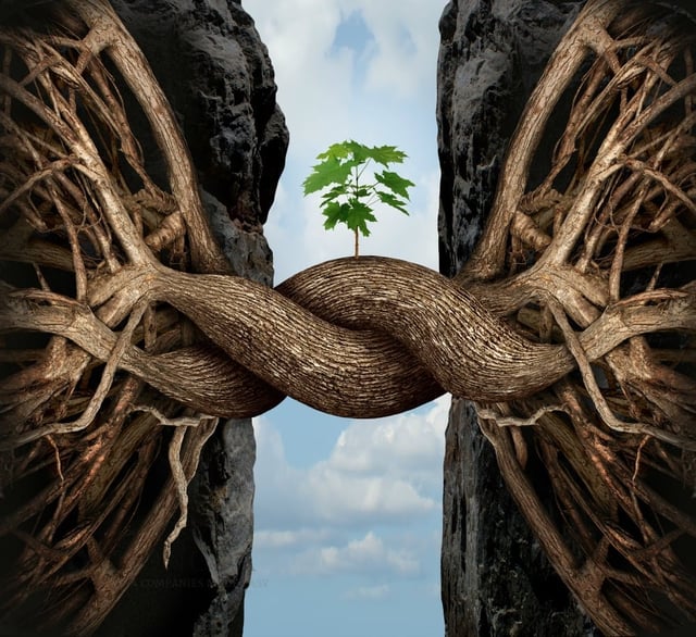 The pros of joint ventures in China