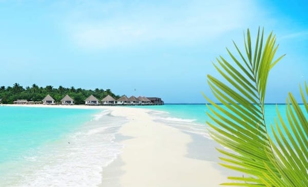 hainan business opportunities