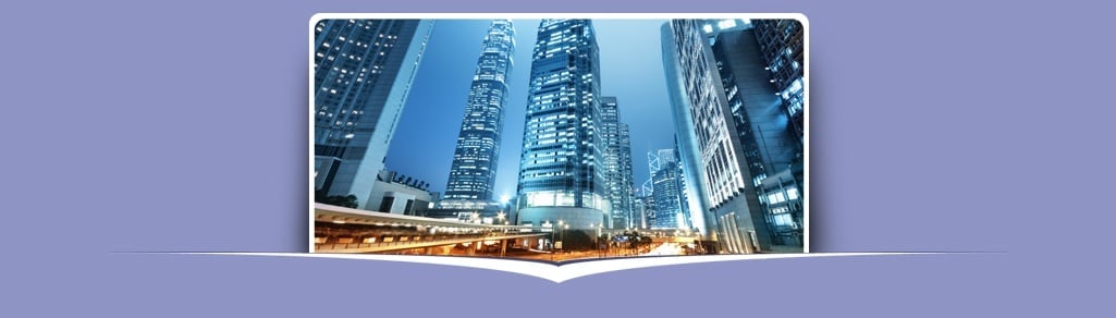 Hong Kong company registry service