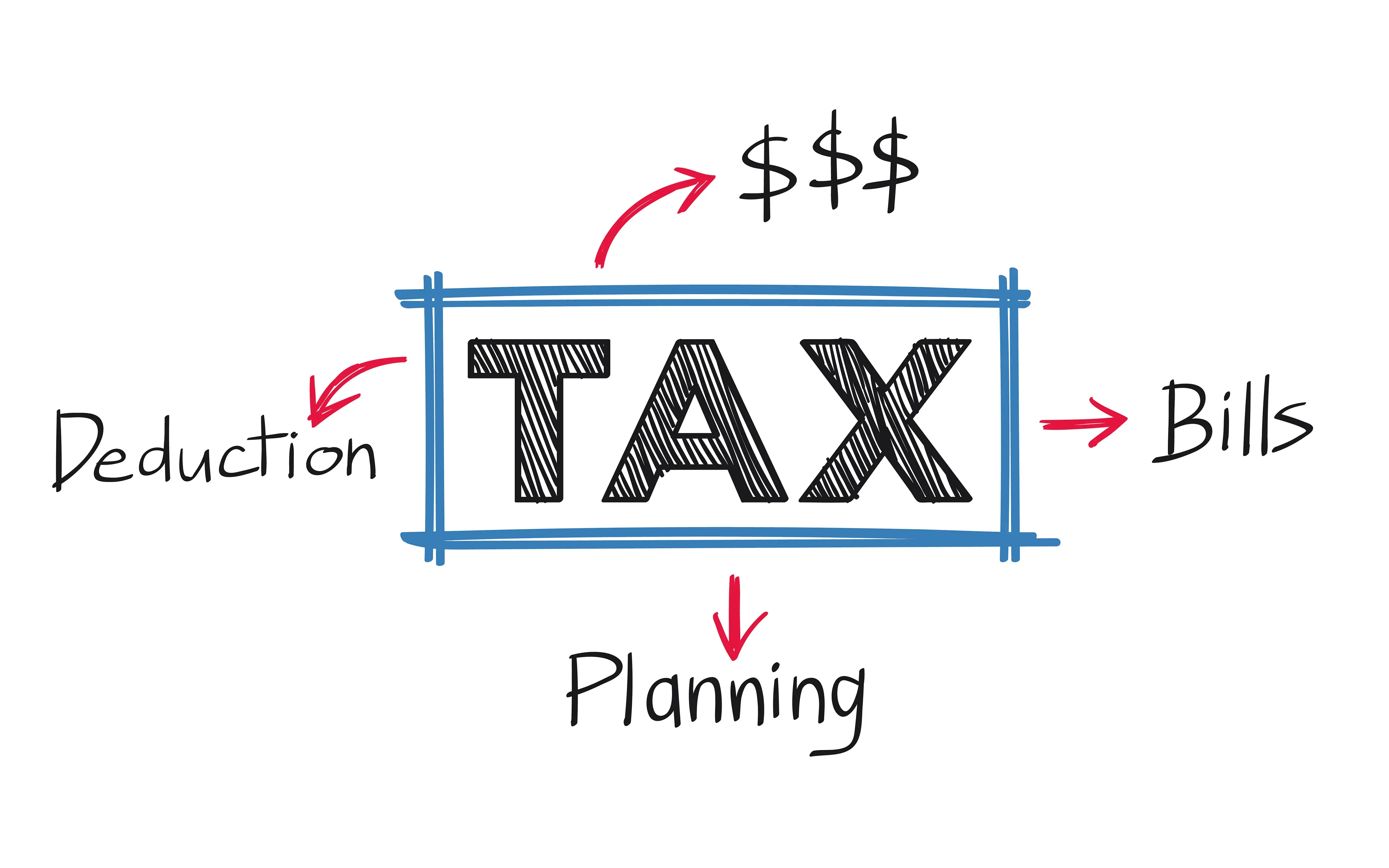small-scale and general taxpayers